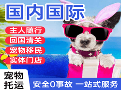 衡阳南岳机场快运国际宠物托运 【国